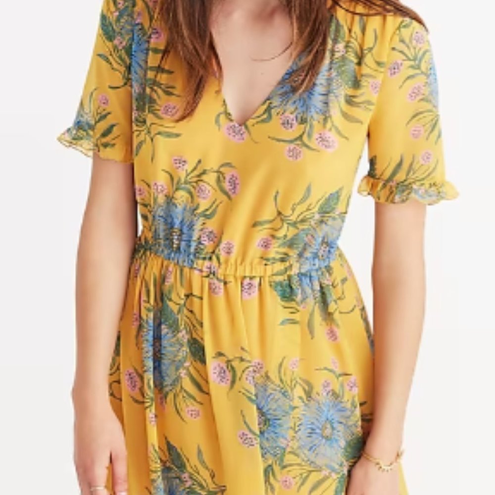 Madewell - Sweetgrass Ruffle-Sleeve Dress in Painted Blooms - Sz 8